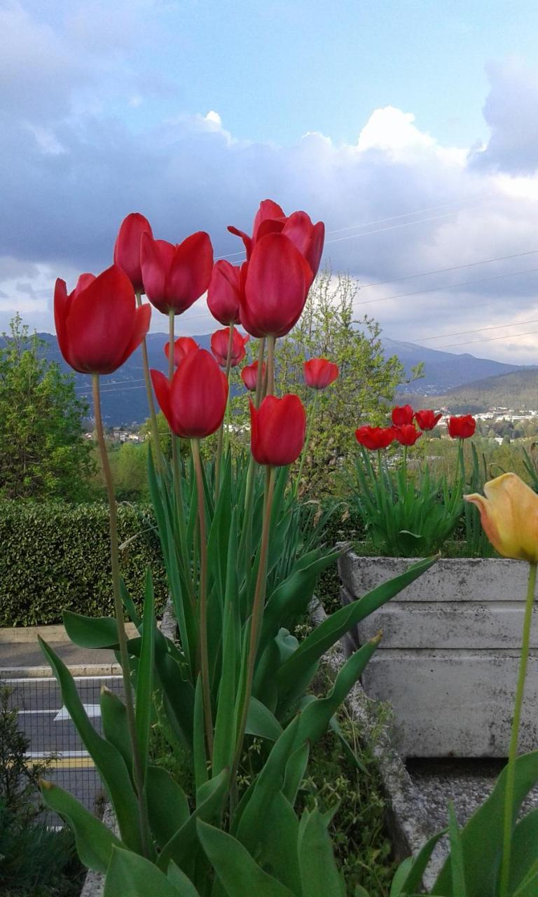 B&B Villa Mirella Casnate Con Bernate Exterior foto